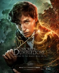 Les Animaux Fantastiques Les Secrets de Dumbledore affiche 03 22 02 2022