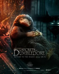 Les Animaux Fantastiques Les Secrets de Dumbledore affiche 04 22 02 2022