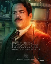 Les Animaux Fantastiques Les Secrets de Dumbledore affiche 05 22 02 2022