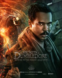 Les Animaux Fantastiques Les Secrets de Dumbledore affiche 10 22 02 2022