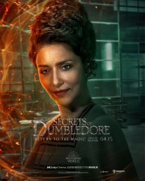 Les Animaux Fantastiques Les Secrets de Dumbledore affiche 17 22 02 2022