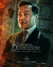 Les Animaux Fantastiques Les Secrets de Dumbledore affiche 18 22 02 2022