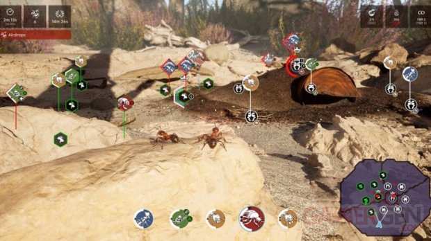 Les Fourmis Swarm Together 01