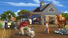 Les Sims 4 Vie au ranch04