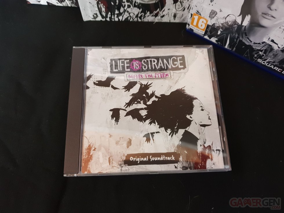 Life is Strange - Storm - Kit Presse -r0029