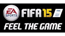 Logo FIFA 15