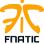 logo Fnatic