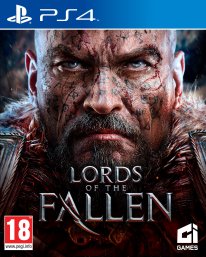 Lords of the Fallen jaquette 2