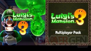 Luigi's Mansion 3 18 12 2019 Pack Multijoueur (10)