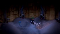 Luigi's Mansion 3 images Switch (11)