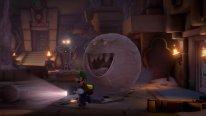 Luigi's Mansion 3 images Switch (9)