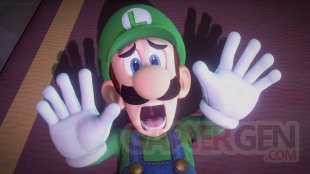Luigi's Mansion 3 vignette 12 06 2019