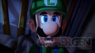 Luigi's Mansion 3 vignette 25 10 2019