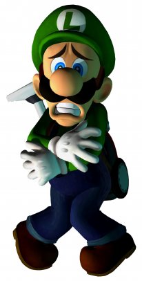 Luigi's Mansion 3DS images (12)