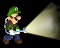 Luigi's Mansion 3DS images (3)
