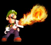 Luigi's Mansion 3DS images (7)