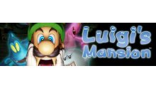 Luigi's Mansion images 3ds test impressions (2)