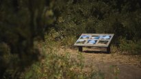 Lushfoil Photography Sim 12 25 02 2025