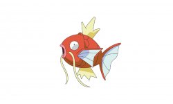magicarpe hd