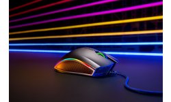 Mamba Elite [2018] Neon Concept Shoot 2