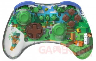 manette Minecraft REALMz Forrest Biome Switch