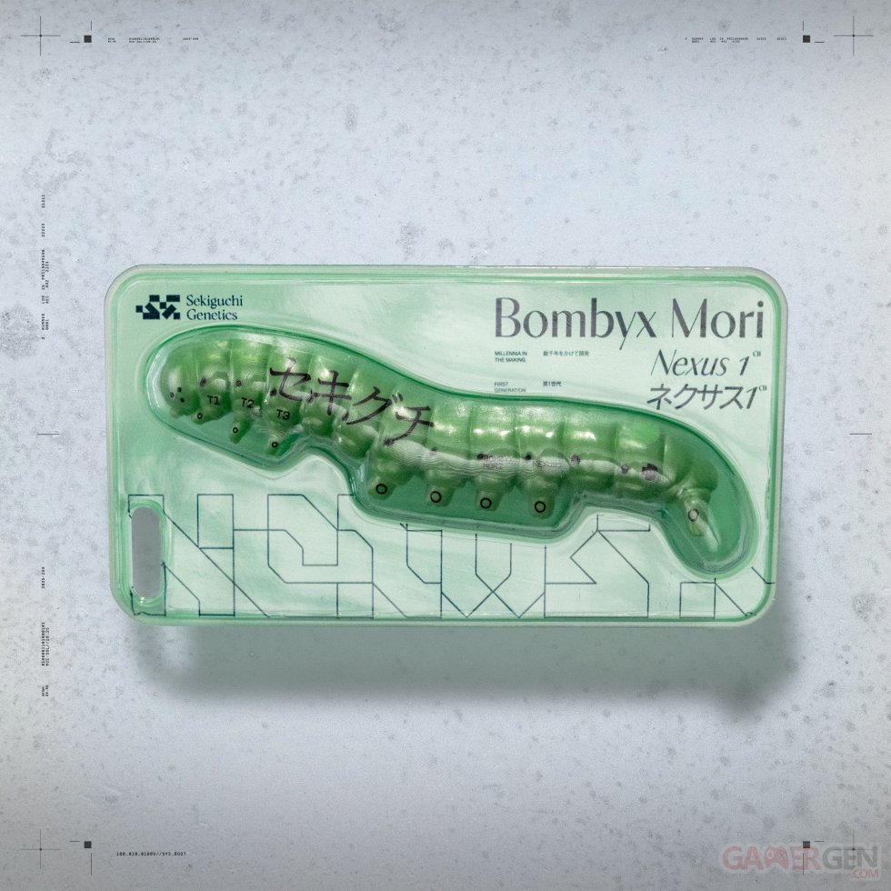 Marathon-édition-Collector-11-19-01-2026