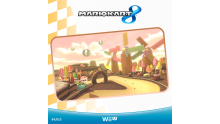 Mario Kart 8 06.04.2014  (2)