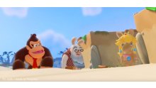Mario + The Lapins Crétins Kingdom Battle Donkey Kong Adventure