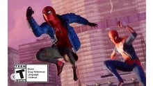 Marvel's Spider-Man Miles Morales image