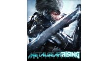 Metal Gear Rising Revengeance vignette 10012014