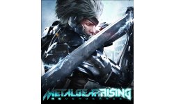 Metal Gear Rising Revengeance vignette 10012014