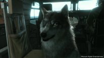 metal gear solid v the phantom pain dd the wolf 005