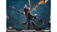 Metroid-Prime-Meta-Ridley-exclusif-09-20-01-2019