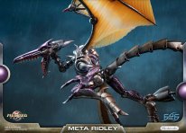 Metroid Prime Meta Ridley standard 03 20 01 2019