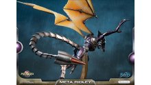 Metroid-Prime-Meta-Ridley-standard-06-20-01-2019