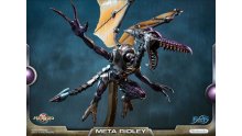 Metroid-Prime-Meta-Ridley-standard-08-20-01-2019