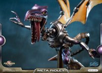 Metroid Prime Meta Ridley standard 10 20 01 2019