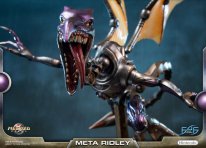 Metroid Prime Meta Ridley standard 11 20 01 2019