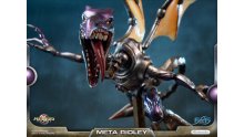 Metroid-Prime-Meta-Ridley-standard-11-20-01-2019