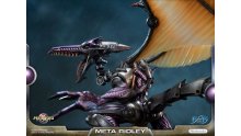 Metroid-Prime-Meta-Ridley-standard-23-20-01-2019