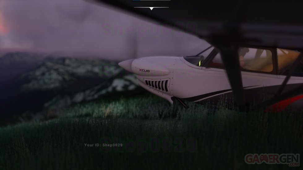 Microsoft Flight Simulator 16-05-2020 (2)