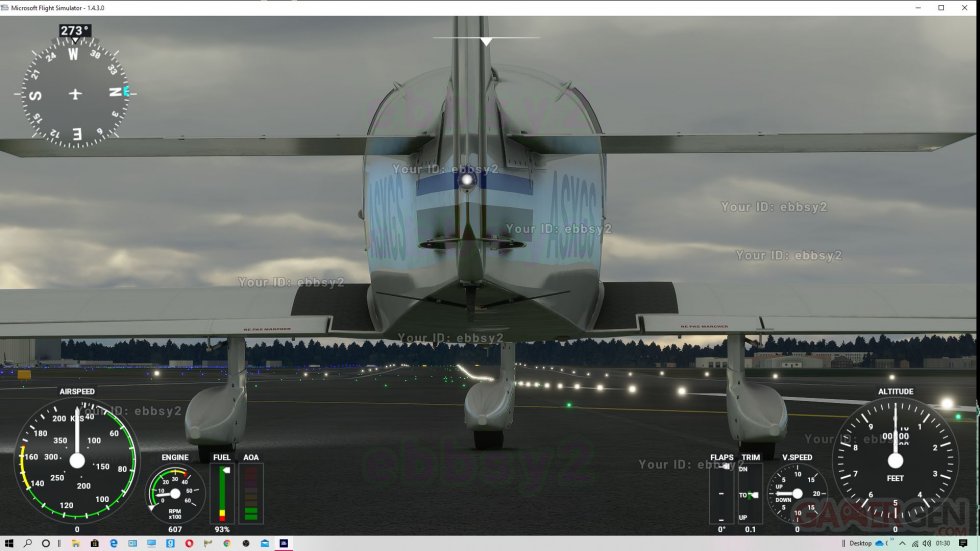 Microsoft Flight Simulator Alpha Screenshots 27-06-2020 (6)