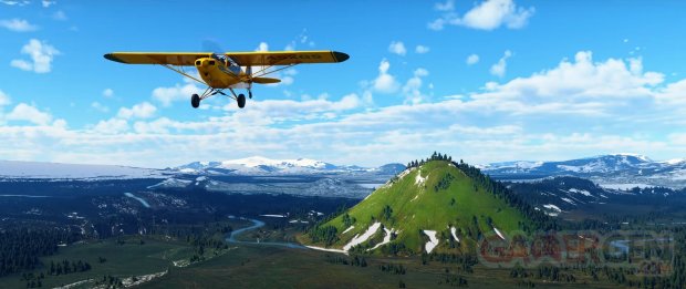 Microsoft Flight Simulator Islande head