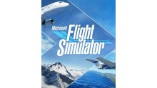 microsoft-flight-simulator-jaquette