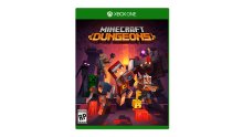 Minecraft Dungeons jaquette