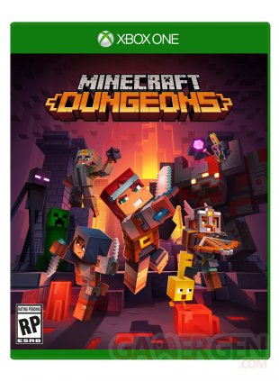 Minecraft Dungeons jaquette