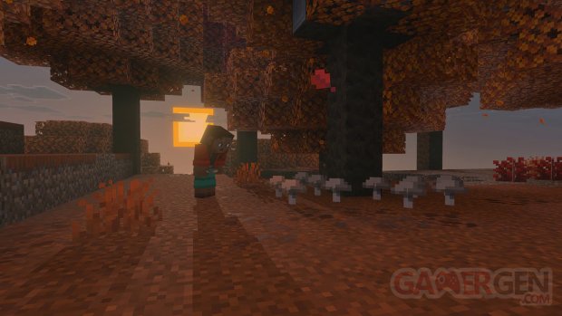 Minecraft LIVE  05