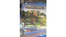 Minecraft-PS4-Bedrock-Edition-1