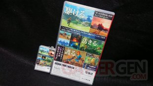 Mini boitier Switch Japon images comparaison (3)