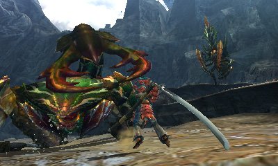 Monster Hunter 4 25.07.2013 (12)